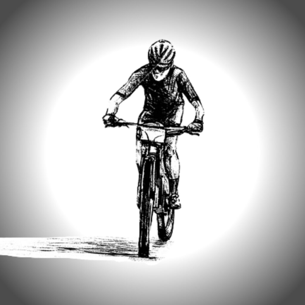 Alberghini Bike - Bici e E-bikes
